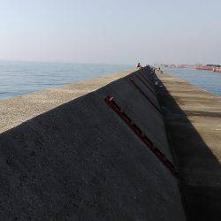 今年最後のショアジギング