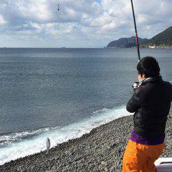 ソウダガツオ好調