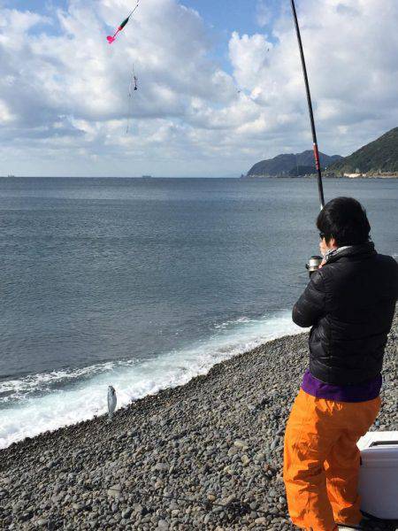 ソウダガツオ好調