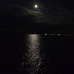 沖向きテトラへ