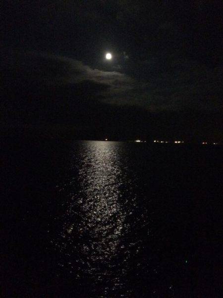 沖向きテトラへ