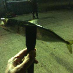 もう直ぐシーズン終了？