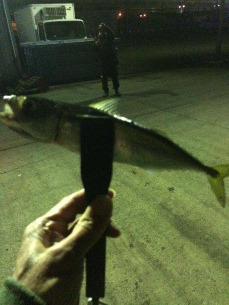 もう直ぐシーズン終了？