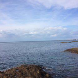 まだまだ新子がいてる