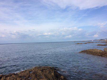 まだまだ新子がいてる