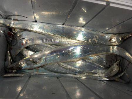 タチウオジギング＆テンヤ