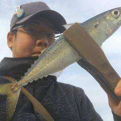 デイ＆ナイトアジング！