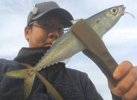 デイ＆ナイトアジング！