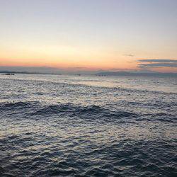 朝マズメルアー