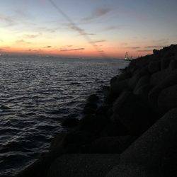 夕まづめルアー