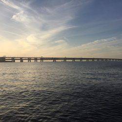 今日も爆釣(^^)/