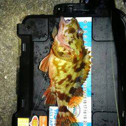 ブロガーさん達とわいわいライトゲームナイト！