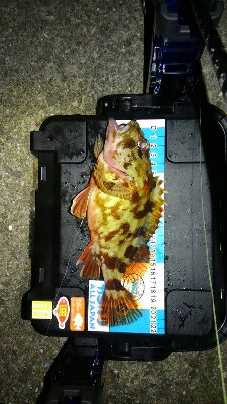 ブロガーさん達とわいわいライトゲームナイト！