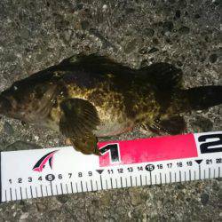 久しぶりのロック♪