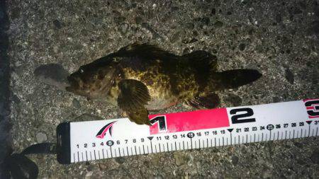 久しぶりのロック♪