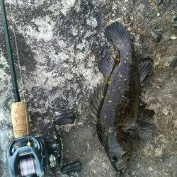 まさかまさかの尺アップ！？