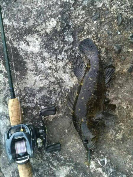 まさかまさかの尺アップ！？