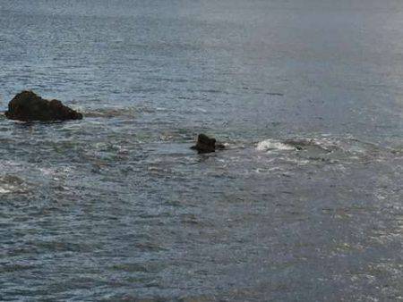 爆風メバリング