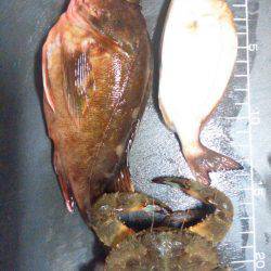 探り釣りは難しい…