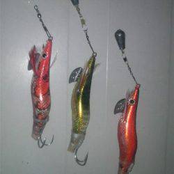 こんな日にもコウイカ釣れた！