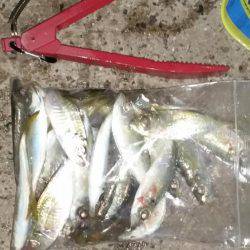 満潮22時半～から