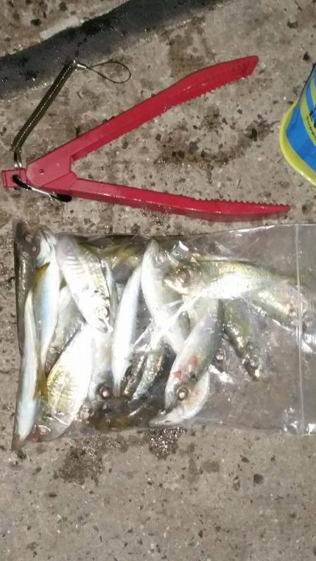 満潮22時半～から