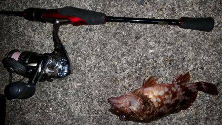 爆釣メバリング!!