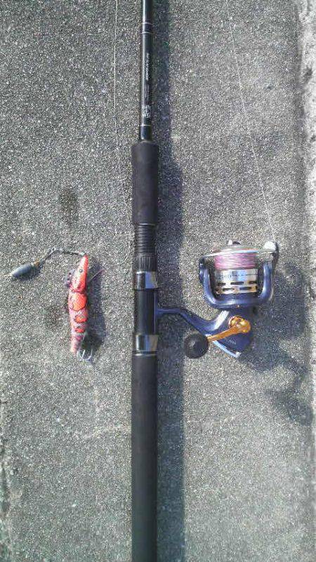 イカがダメならタコを釣るゾ!!