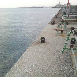 今日はタコ2匹きでした(^^♪