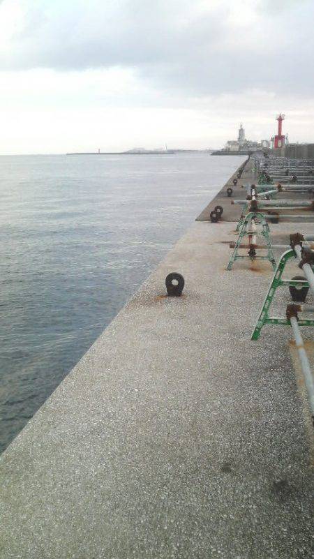 今日はタコ2匹きでした(^^♪