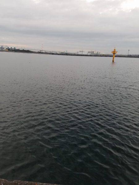 シーズン終了間際でどうにか一本