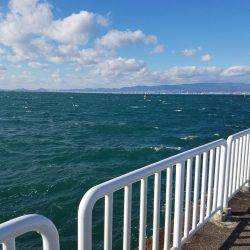 ジャンボアジはお留守でした。