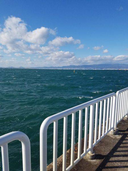 ジャンボアジはお留守でした。