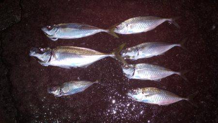 どおして君は2cm足りないの？