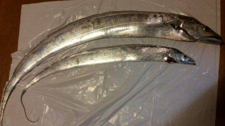 陸ッパリからスーパードラゴン