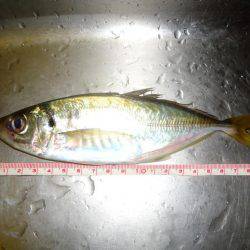 沈黙の後にジャンボ！