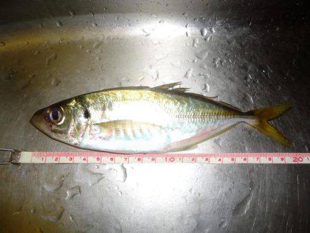 沈黙の後にジャンボ！