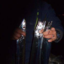 タチウオと短時間勝負！　