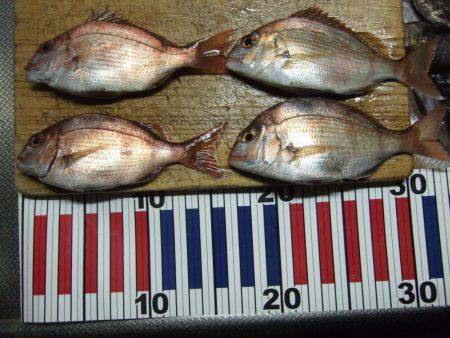 夕方のメバル狙い。