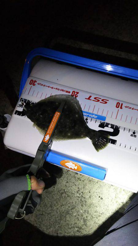 谷川でアジング