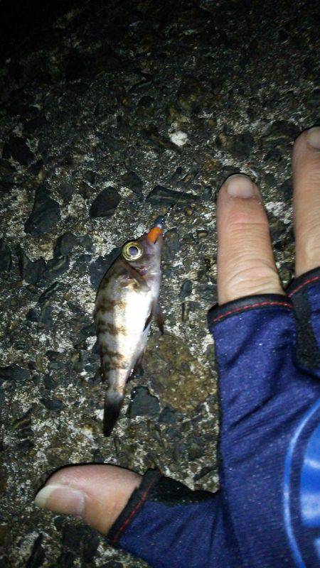 オジサン２人でメリーツリシマス(笑)