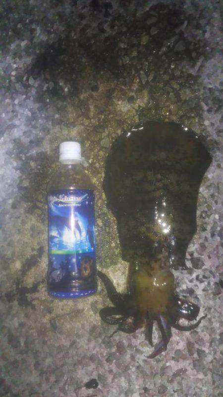 キロアップ釣りました！