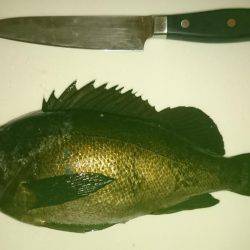 釣り納めにサンタがやってきた