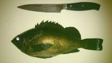 釣り納めにサンタがやってきた