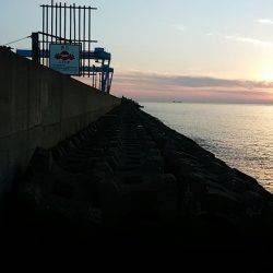 サイズ釣果共に少し落ち始めました