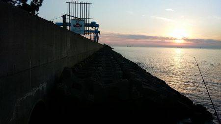 サイズ釣果共に少し落ち始めました