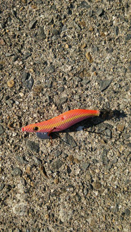 今年最後の釣り