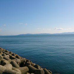 今年最後の新島