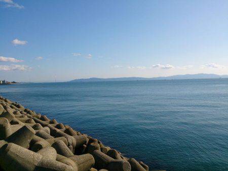 今年最後の新島