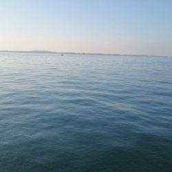 ギリギリセーフ!